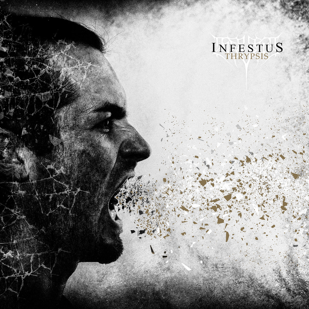 Стрийм : Infestus : Thrypsis