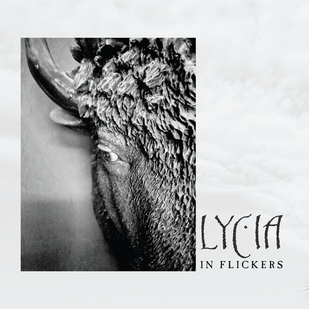 Стрийм : Lycia : In Flickers