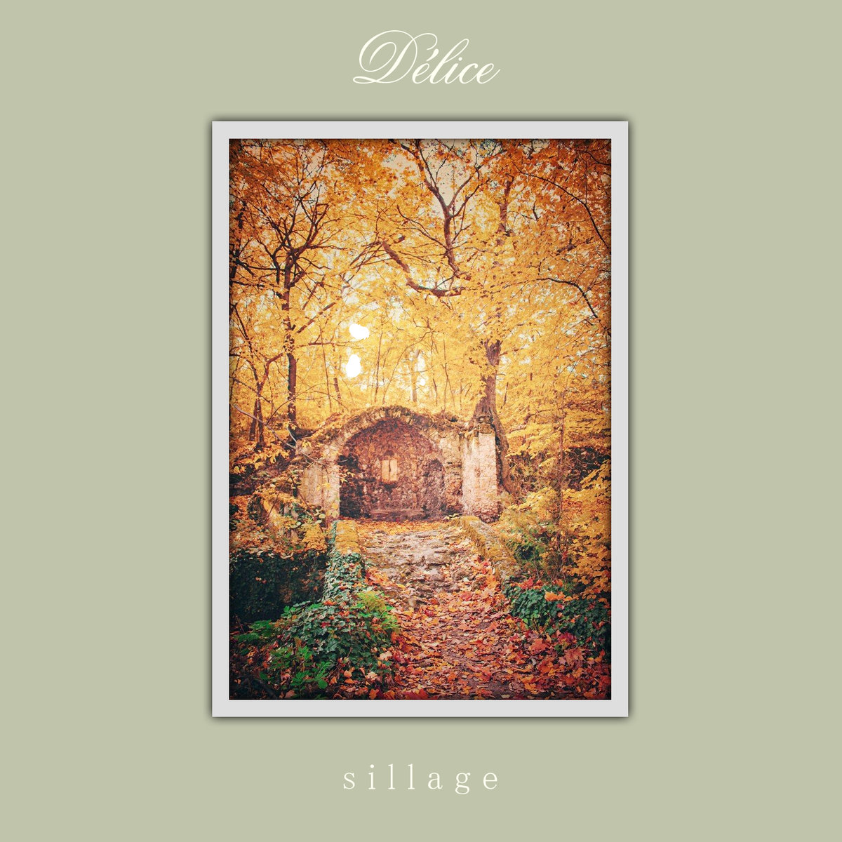 Стрийм :  Délice : Sillage
