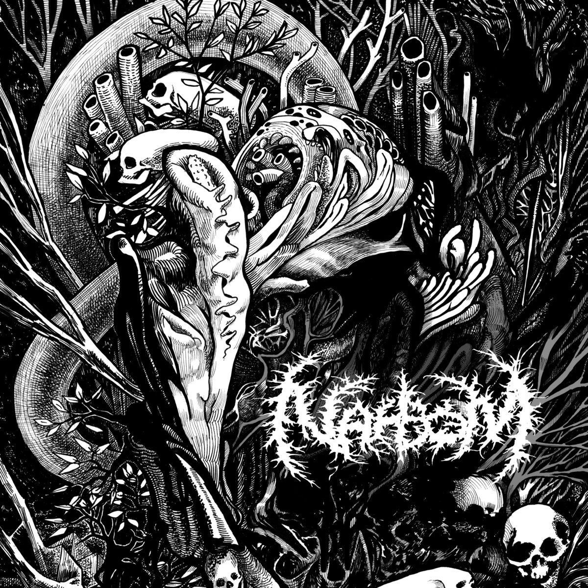 Стрийм : NahBom : NahBom