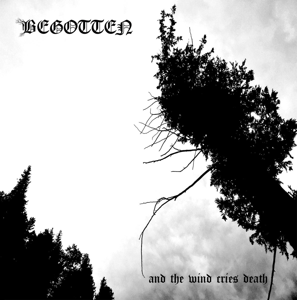 Стрийм : Begotten :  And The Wind Cries Death