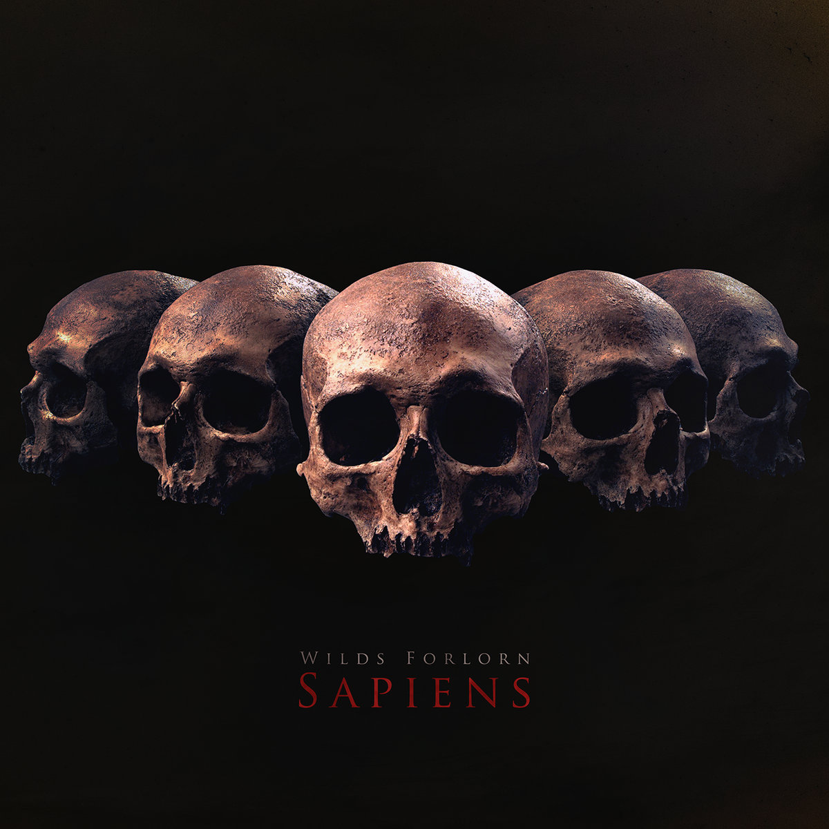 Стрийм : Wilds Forlorn : Sapiens