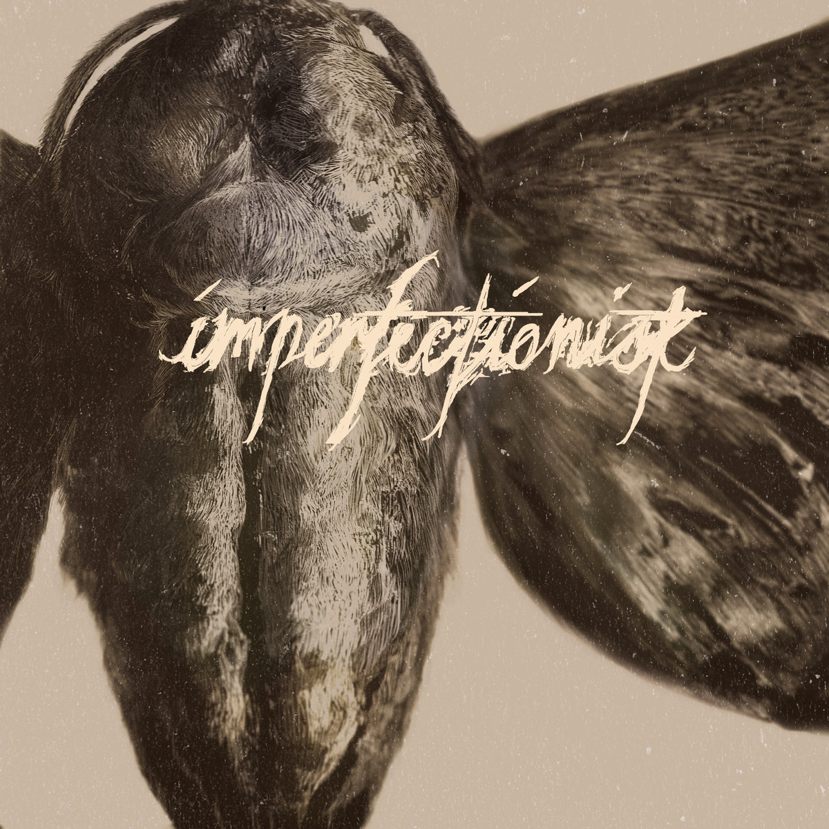 Стрийм: Imperfectionist : Chrysalis