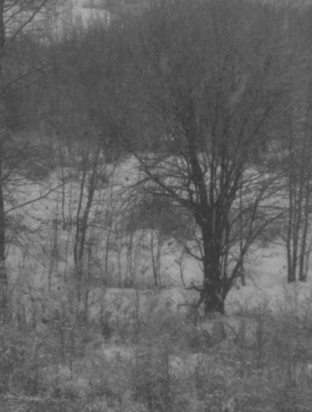 Стрийм : Vintlechkeit : Svarte Død​.​.​.
