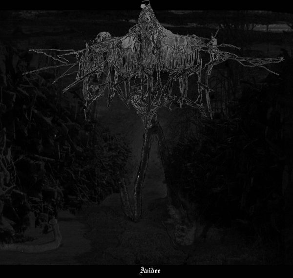 Стрийм : Gargowitch : Avidee