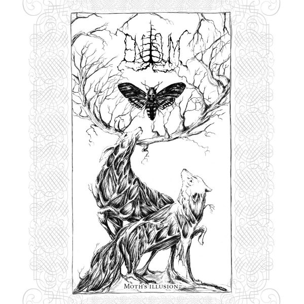 Стрийм: Enisum : Moth’s Illusion
