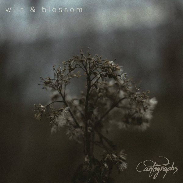 Стрийм: Cartographs : wilt & blossom
