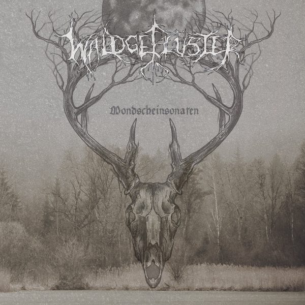 Стрийм: Waldgeflüster : Mondscheinsonaten