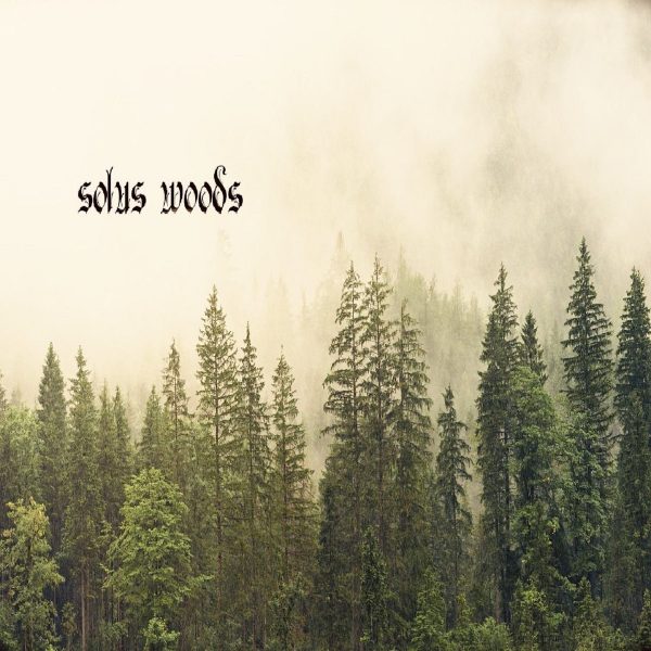 Стрийм: Solus Woods : Awaken