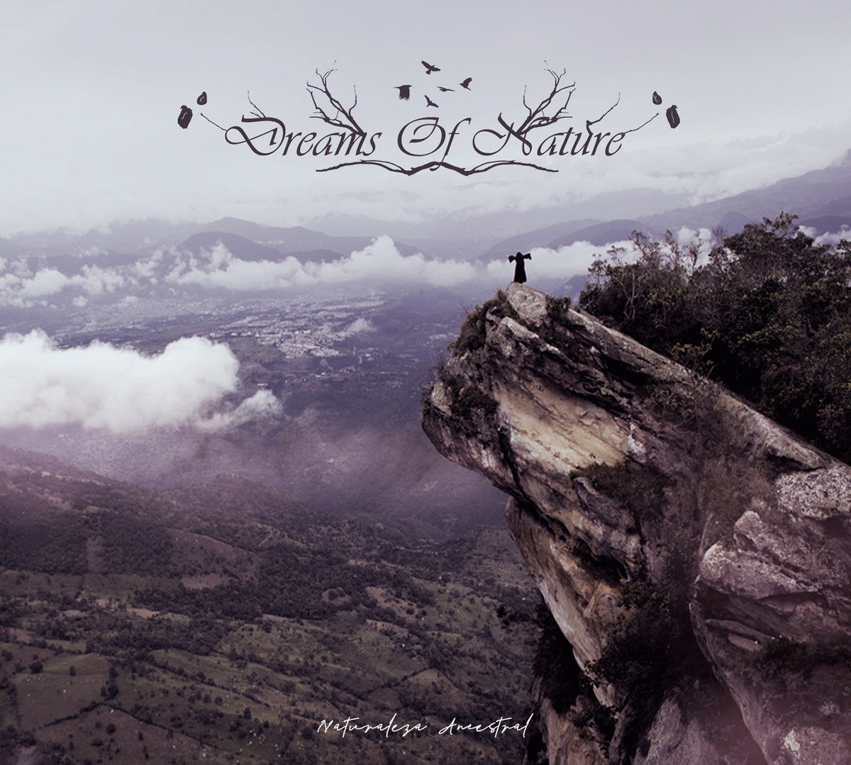 Стрийм: Dreams of Nature :  Naturaleza Ancestral