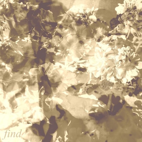 Стрийм: Mind Teardown : Find