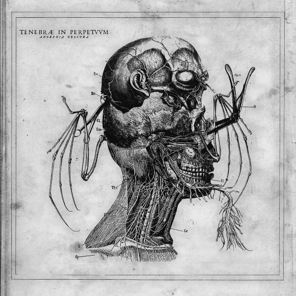 Стрийм: Tenebrae in Perpetuum : Anorexia obscura