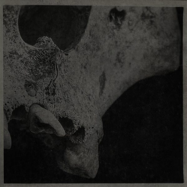Стрийм: Watered : Antipodes