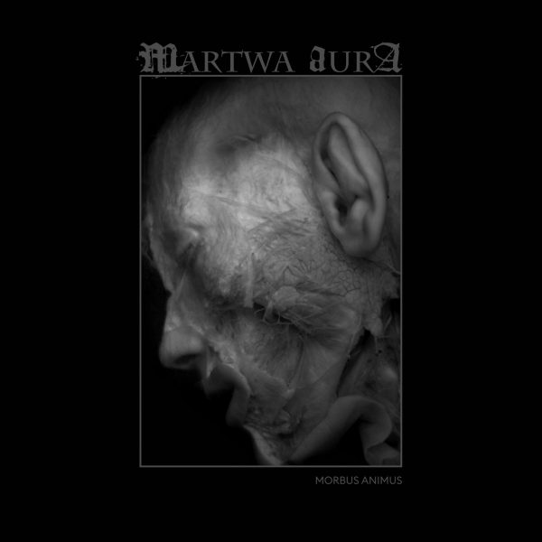 Стрийм: Martwa Aura : Morbus Animus