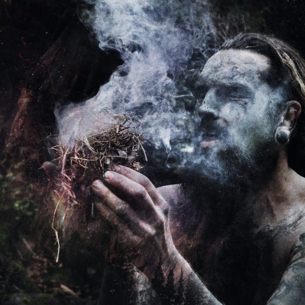 Стрийм: Old Growth : Mossweaver