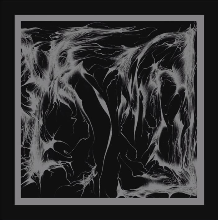 Премиерен сингъл от предстоящия EP запис на Skrying Mirror