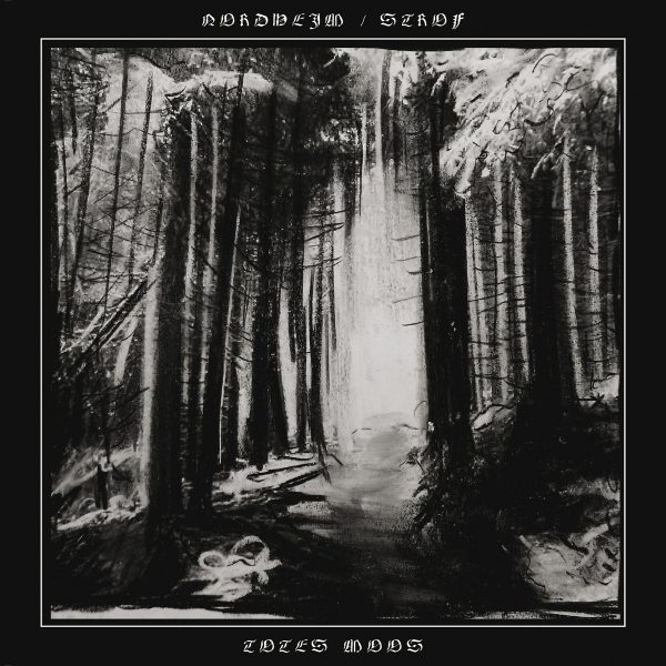 Стрийм: Nordheim | Strof : Totes Moos