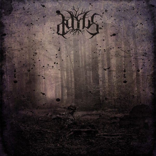 Стрийм: Daius : Ascuns