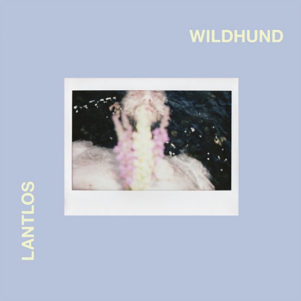 Lantlos : „Wildhund“