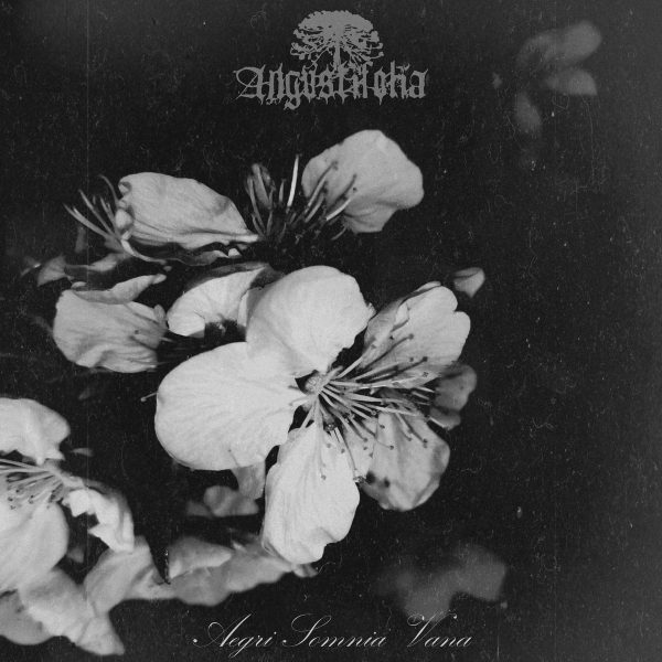 Стрийм: Angustifolia : Aegri Somnia Vana