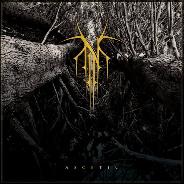 Стрийм: NORSE : Ascetic