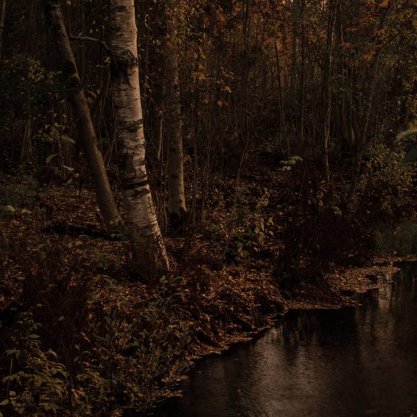 Стрийм: Aran : Pimeyttä Vasten
