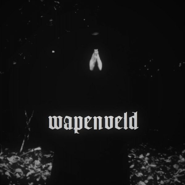 Стрийм: Wapenveld : Beneveld Door de Mist
