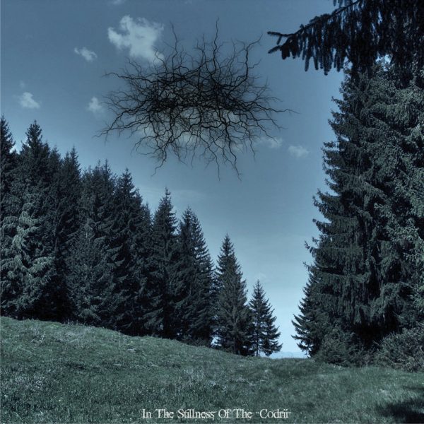 Стрийм: Basarabian Hills:  In The Stillness Of The Codrii