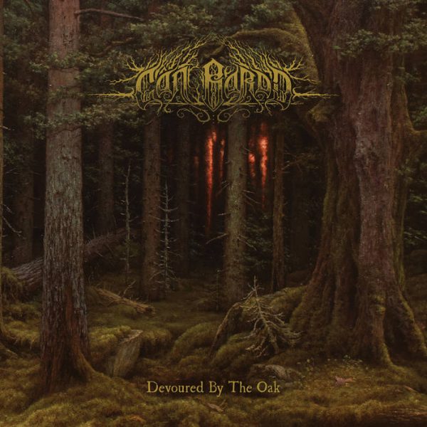 Стрийм : Cân Bardd : Devoured by the Oak