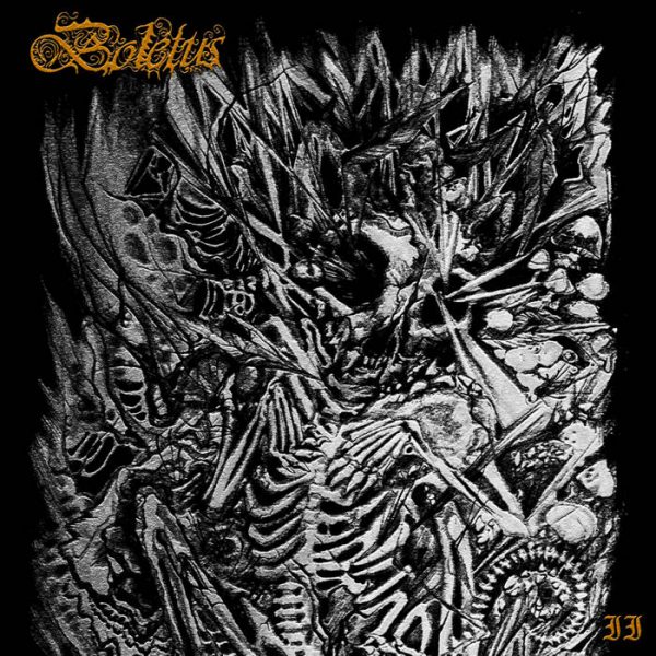 Стрийм : Boletus : II