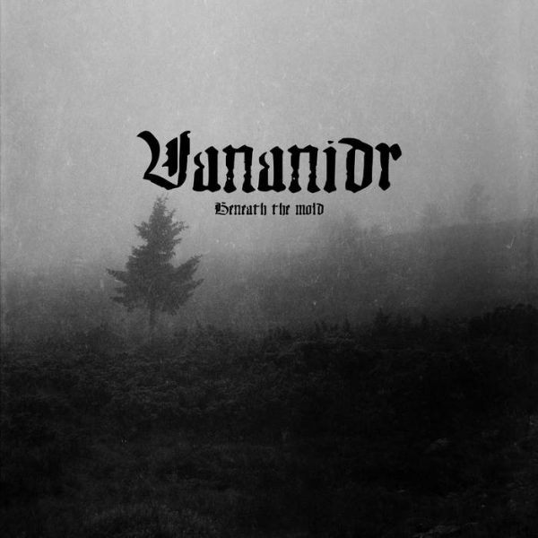 Стрийм: Vananidr : Beneath the Mold