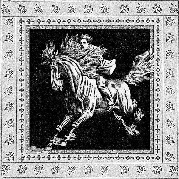 Стрийм: Feufolet : Honte de tout, tout le temps / Famille de rapaces