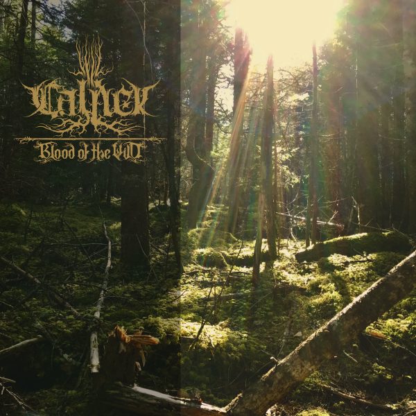 Calnek представя дебюта си “Blood of the Wild”