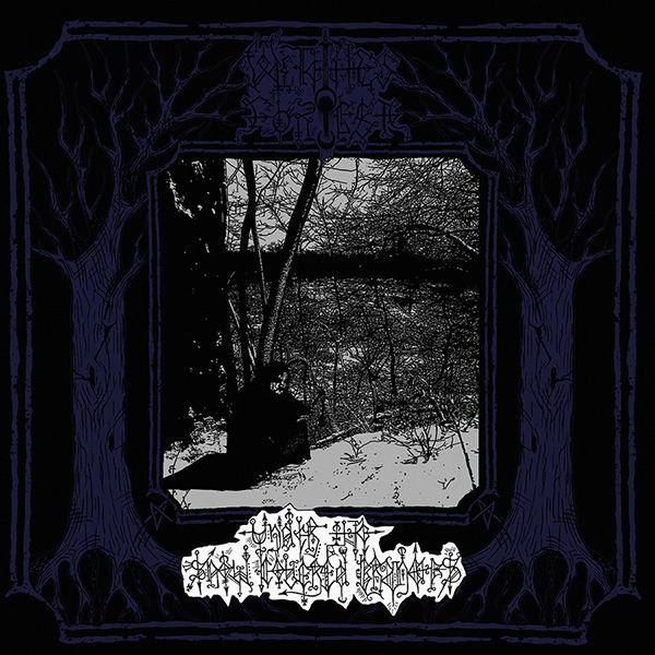 Стрийм: Witches Forest : Under the Snow Covered Branches