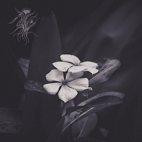 Чуйте “Ephemeral”, дебютният албум на Sáasil
