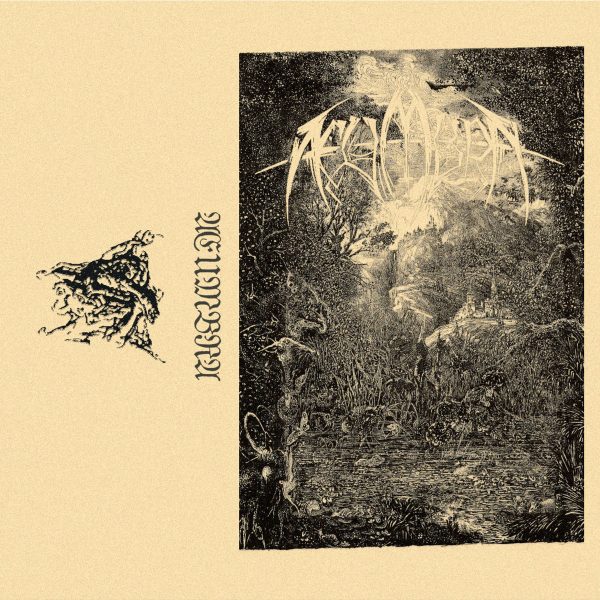Стрийм: Æumbra : Æumbra II