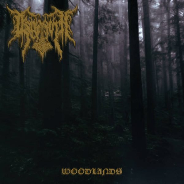 Чуйте „Woodlands“, новият албум на Esgaroth