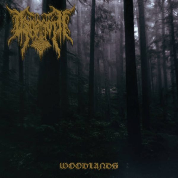 Чуйте “Woodlands”, новият албум на Esgaroth