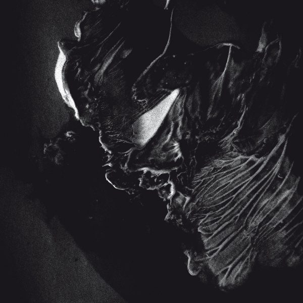 Чуйте “Achamoth”, новият албум на Wells Valley