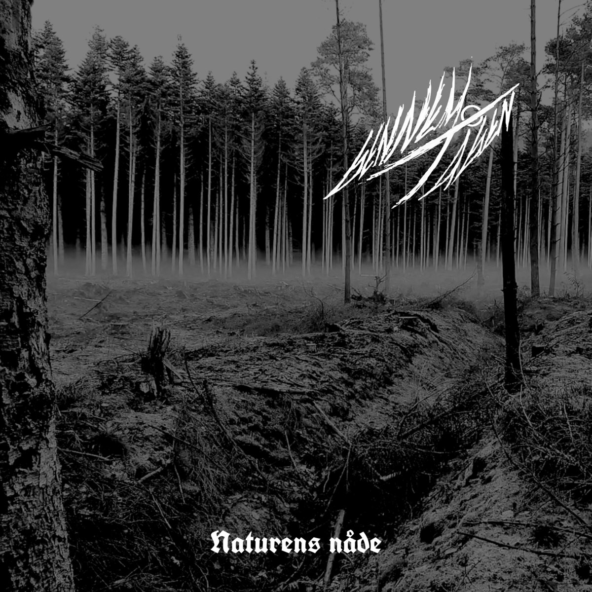 Gennem Tågen представят сингъла “Naturens n​å​de”