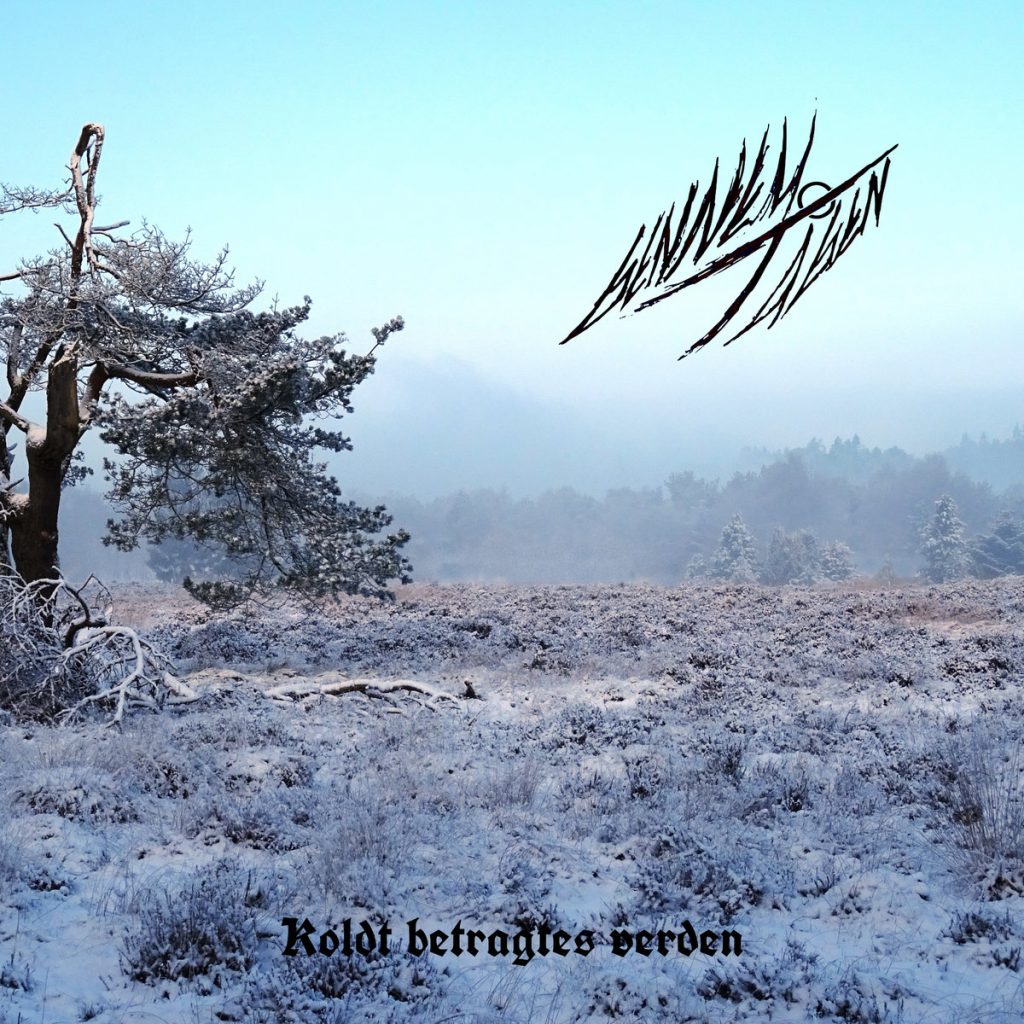 Чуйте „Koldt betragtes verden“, дебютният албум на Gennem Tågen