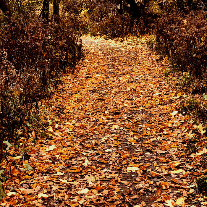 Чуйте „Autumnal Fleecian Spirit“, новият запис на Kaskaskia