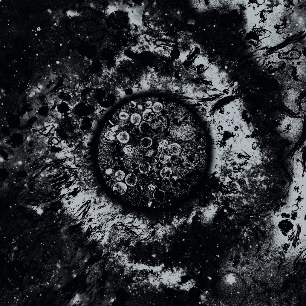 Чуйте „To Infect | To Inflict“, новият албум на Voidsphere