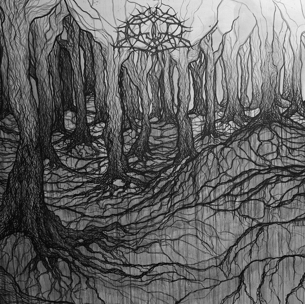 Чуйте “Inorganic Rites”, новият албум на KRALLICE
