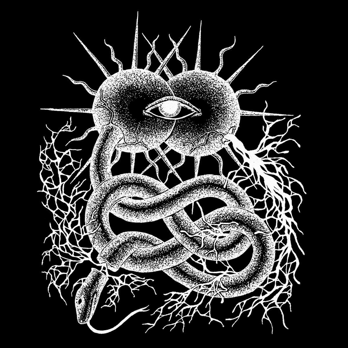 Чуйте “Noctuary”, новият албум на KALTESBLUT