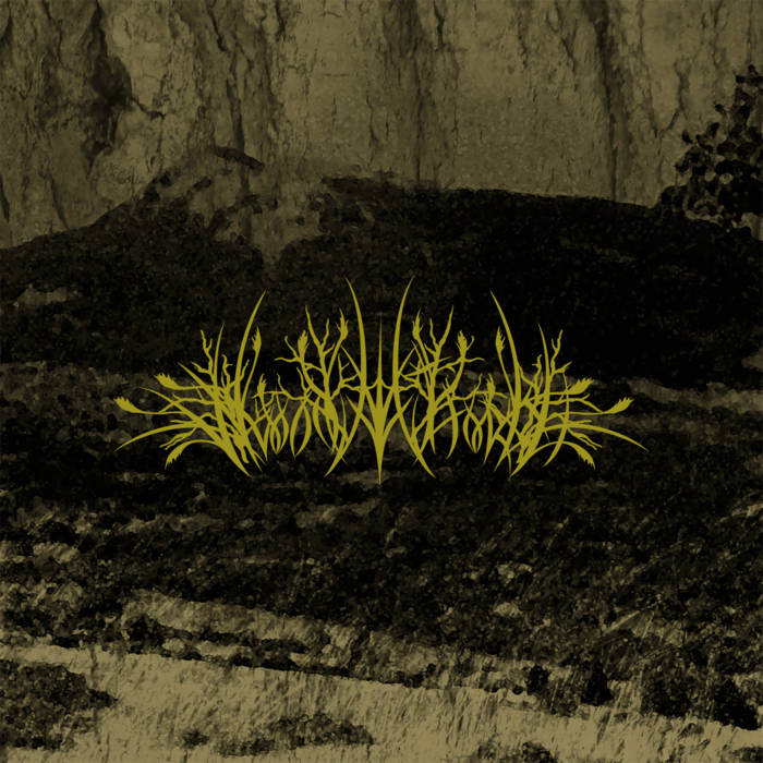 Venezuelan one-man black metal project Woodanthorkh presents  the album “Un Antiguo Cruzado”