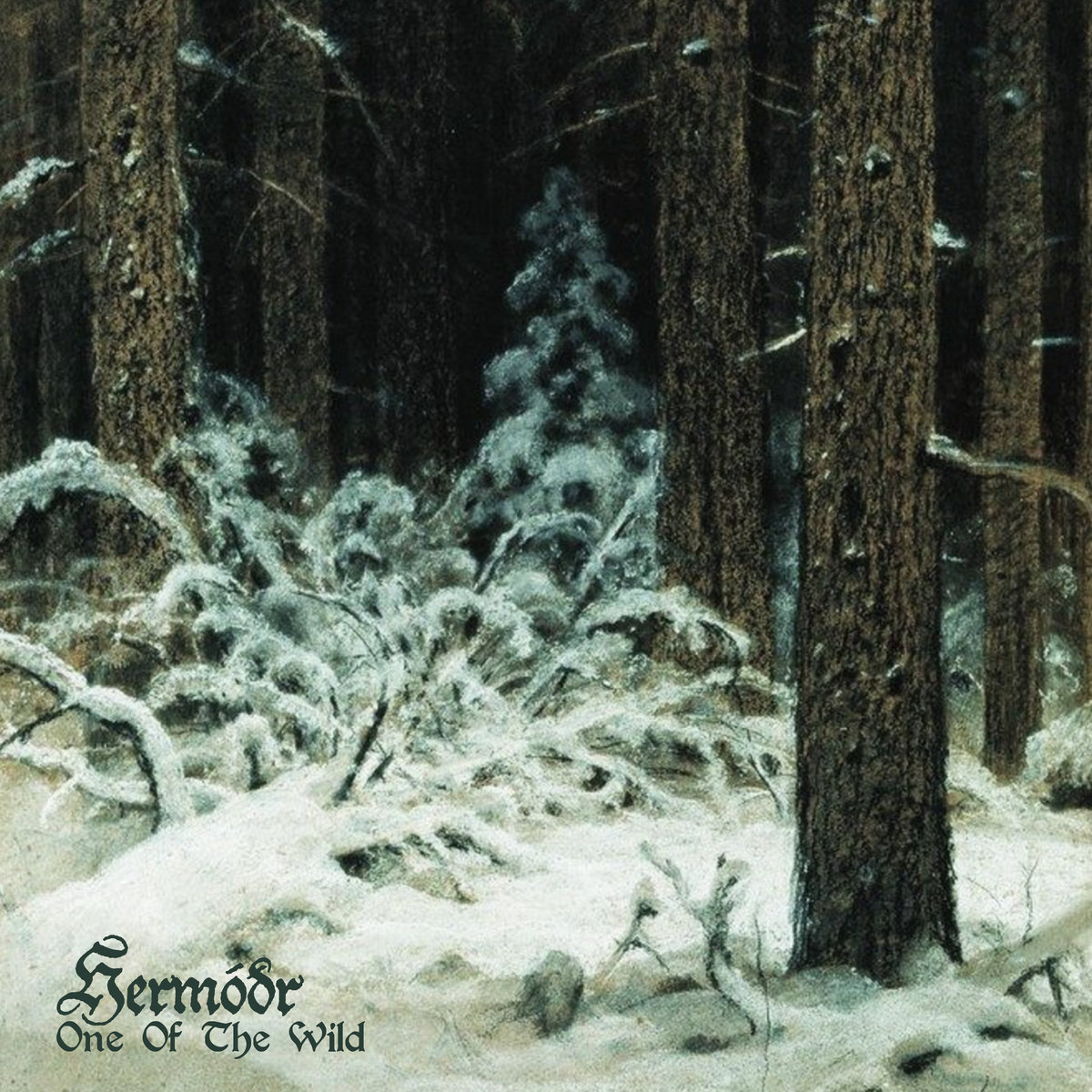 Hermóðr has unveiled its latest full-length creation, “One Of The Wild”