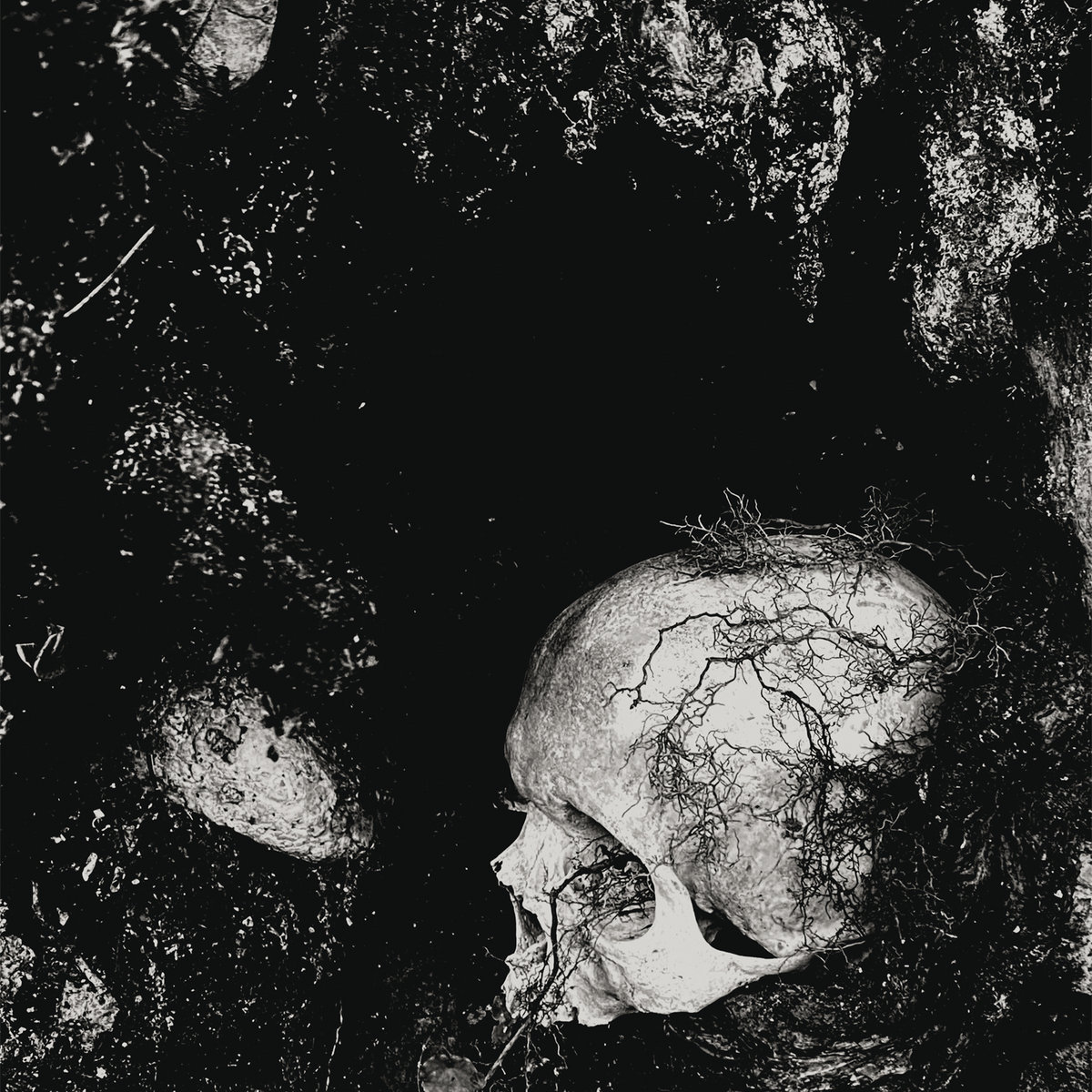 Chelmno unveil the first track from their upcoming record
