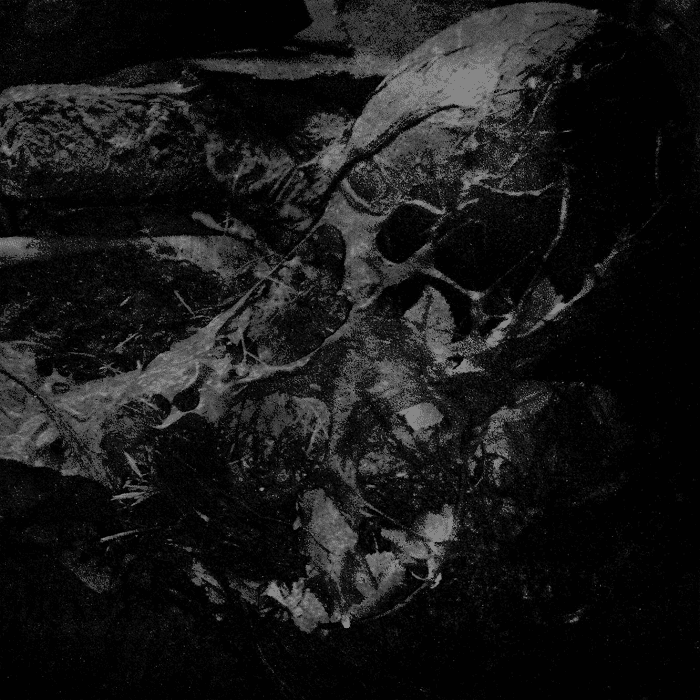Martwica unleash their debut full-length offering, “Tanatologia”