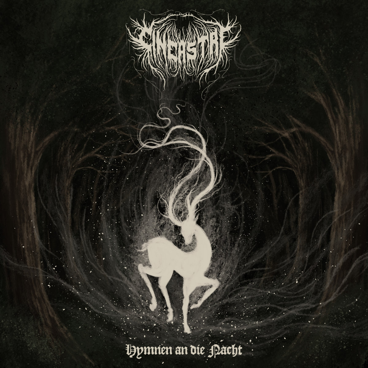 Cineastre unveil the first glimpse into their upcoming offering